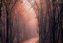 搭档后首冠，冯彦哲／魏雅欣夺瑞士羽毛球公开赛混双冠军.